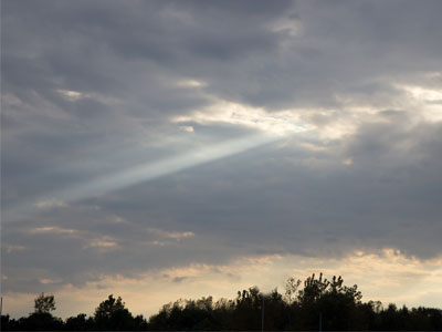 In a moment of divine guidance clearly showing me what I should do, a sunbeam illuminated a Dunkin` Donuts.