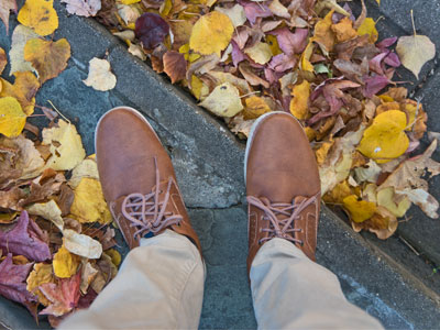 Adam in autumn.