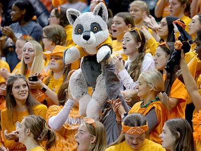 Fans of the other team wore black.  Orange is better.