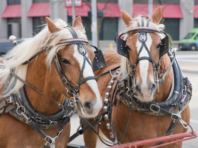 Once a year, it`s important to watch where you step in downtown Dayton (see November 25, 2022).