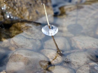 But nobody else got to see this perfect little disc of ice.