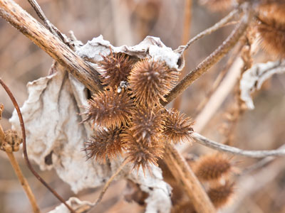 In the bleak midwinter.