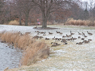 I would have stayed inside where it was warm, but I had a photography workshop to teach this morning.