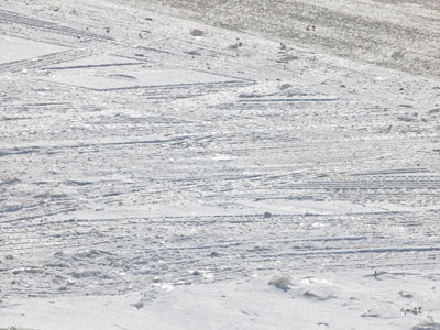 During the photo workshop yesterday (see January 13 above), I taught students how to take pictures of snow.