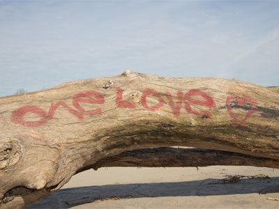 This log is in the same place it was (see January 29, 2024), but the river has receded so it`s on dry ground.