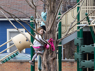 Kids ignore the newly-installed playground equipment (see December 3, 2023) and climb a tree instead.