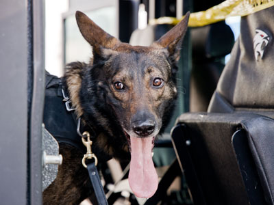 He`s a good boy -- or, police officer.