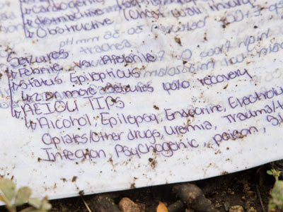 I found this rain-soaked notebook underneath a tree.  I admire anyone who uses mnemonics when studying.