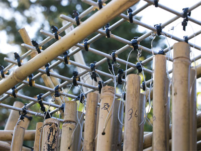 Michael Bashaw built a sculpture that`s a giant musical instrument (see August 27, 2009).