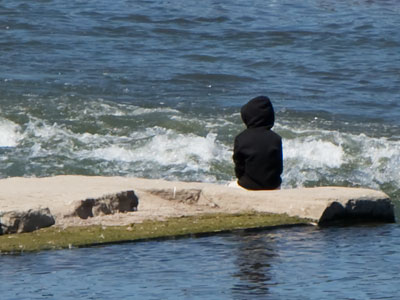 At lunchtime I went to the river to ponder my existence, but someone was already there pre-pondering.