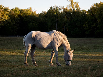 I`m usually comfortably at home at sunset.