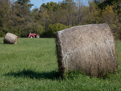 I`m not sure I was allowed to be in this field, but I really wanted to take this photo.