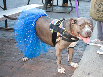 A typical scene in the Oregon District.