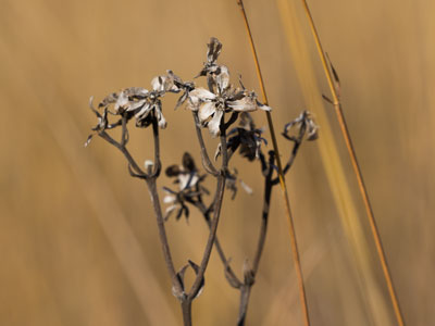 It was a chilly morning on the prairie.