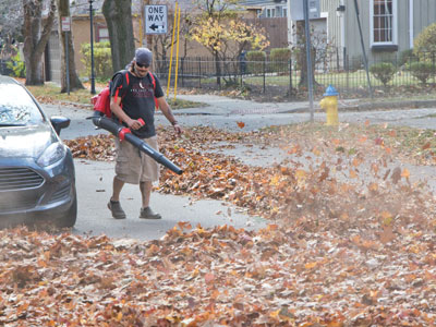 There`s a long tradition in the Oregon District of moving leaves to the neighbor`s yard (see October 23, 2022).