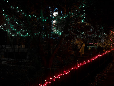 My neighbors decorate while I sit inside and Ba-Humbug.