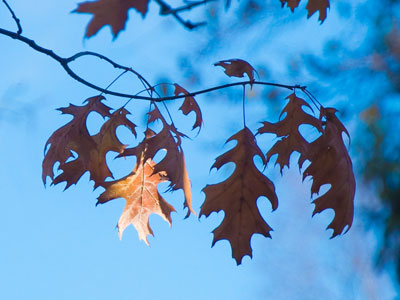 December gets off to a frigid start.