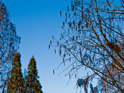 Sculpture in the sky.