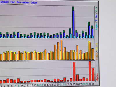 This Web site is popular at the end of December when I release my Top Shots for the year, but I have no idea why there was so much activity on Christmas Day.