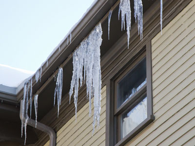 Outside my kitchen window, Part 3.