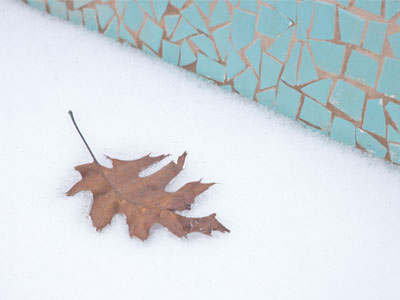 This is the same leaf -- and the same snow -- as January 18 above.  I`m ready for a thaw.