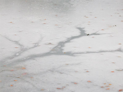 The pond at the cemetery still has a layer of ice on it.