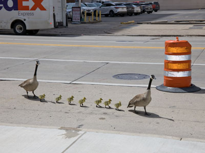 I just hope they made it to the river okay.