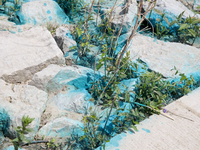 Artistic expression?  Nope, herbicide.