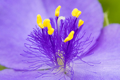 Last week`s photography workshop was postponed due to weather (see April 19 above).
