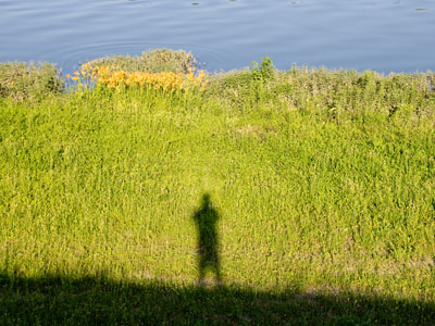 I`m usually not out and about this early in the morning.