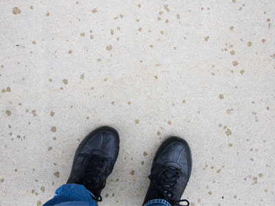 It is in fact raining, but I`m walking to work.  I haven`t had to put gas in the car since early June.