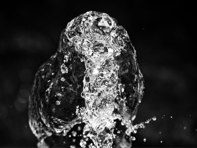 The monster in the water fountain.