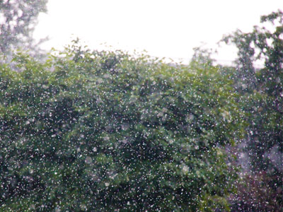My walk home was interrupted by a monsoon.