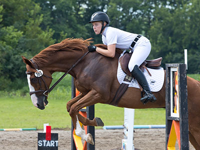I went to another equestrian event today and actually took pictures of the competition (see July 19 above).