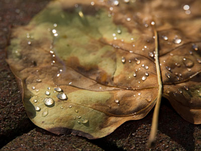 Shine brightly.
