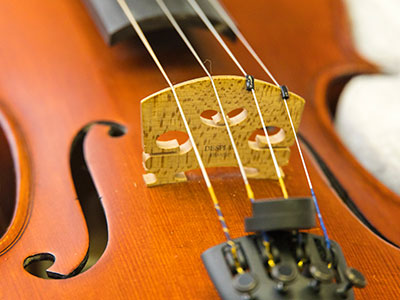 Every year, I take pictures of musical instruments (see August 23, 2024).