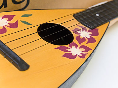 It`s not a ukulele, it`s a fluke.