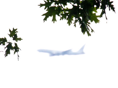 Sometimes `autofocus` is a misnomer.