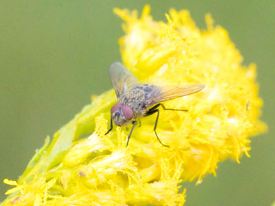 I didn`t have much company on the prairie this morning. I didn`t have much company on the prairie this morning.