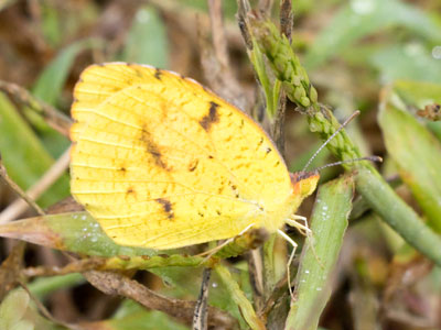 As there are more of us, there are fewer of you. As there are more of us, there are fewer of you.