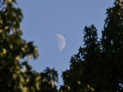 The world would be a better place if people looked up more often and remembered it`s just one of countless worlds. The world would be a better place if people looked up more often and remembered it`s just one of countless worlds.