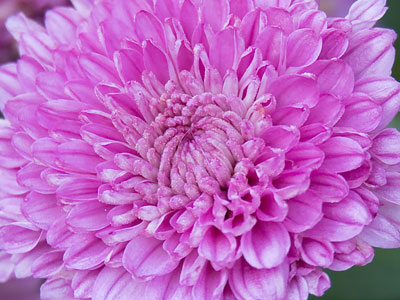 My last -- and probably my worst -- photo of the month. My last -- and probably my worst -- photo of the month.