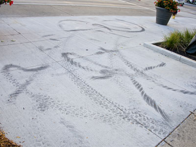 I`m glad I wasn`t on the sidewalk when this happened.