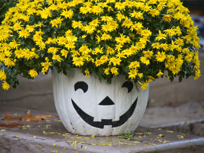 Autumn on the mind. Autumn on the mind.