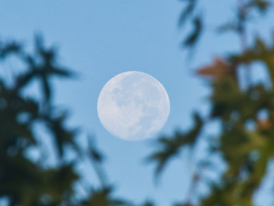 Remnants of the supermoon (see October 6 above). Remnants of the supermoon (see October 6 above).
