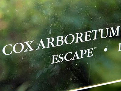 I`m glad I got to escape from the office for a while. I`m glad I got to escape from the office for a while.