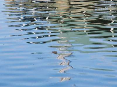 Watercolor. Watercolor.