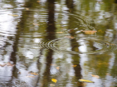 I planned to take pictures of a soccer game today, but decided not to stand outside in the cold rain. I planned to take pictures of a soccer game today, but decided not to stand outside in the cold rain.