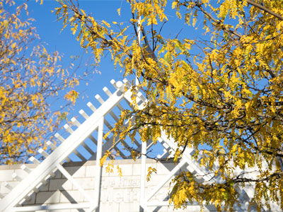 I don`t like autumn, but I`m obligated to take this picture. I don`t like autumn, but I`m obligated to take this picture.