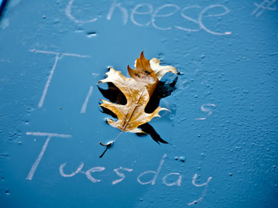 The weather forecast did not predict rain today. The weather forecast did not predict rain today.